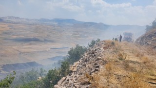 Ormana Sıçrayan Anız Yangını Söndürüldü