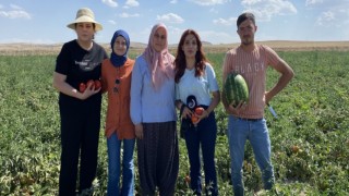 Genç Çiftçi Yıldız Demirtaş, “Bozkırın Makus Kaderine Yenilmek İstemiyorum”