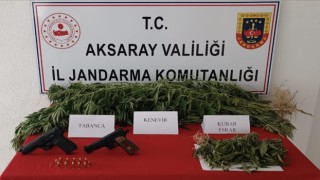 Jandarma Zehir Savaşını Sürdürüyor