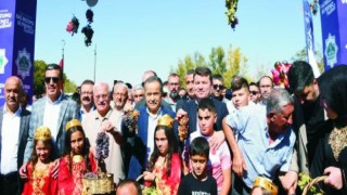 Dağ Pekmezleri Kargın’da Sergilendi