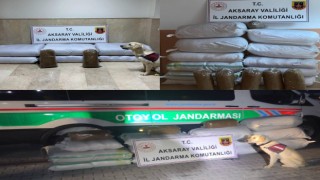 Jandarma Ekipleri 790 Kilo Kaçak Tütün Ele Geçirdi