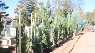 Yeşil Aksaray İçin Belediye 2025’de de Mücadelesini Sürdürdü