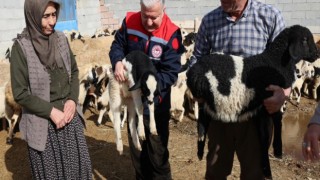 Çobanlıkla Geçen Ömür, Diplomayla Taçlanan Emek