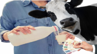 Fiyatından, Üreten ve Tüketen Dışındakiler Memnun