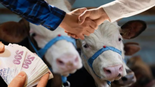 Hayvan Satıcılarına Önemli Uyarı Sahte Paraya Dikkat!