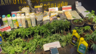 NARKOTİK Suçlardan 4 Kişi Daha Tutuklandı